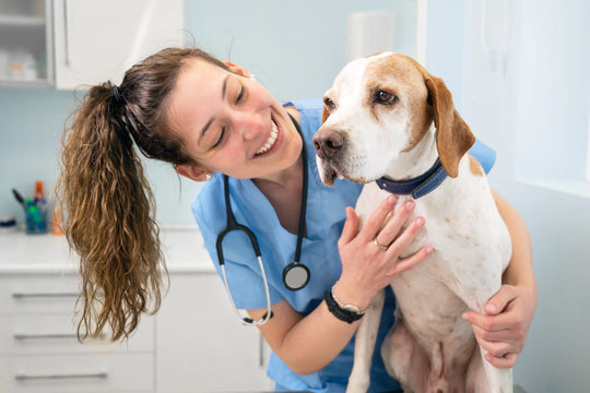 Veterinary and Wound Care